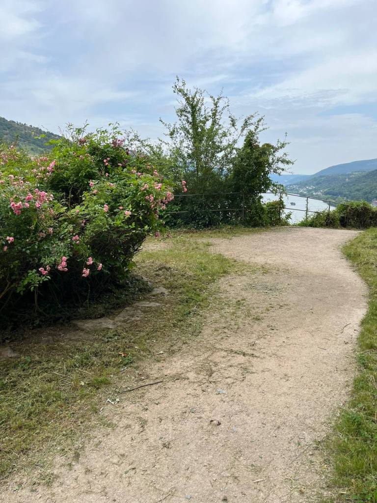 Views from the garden behind the castle