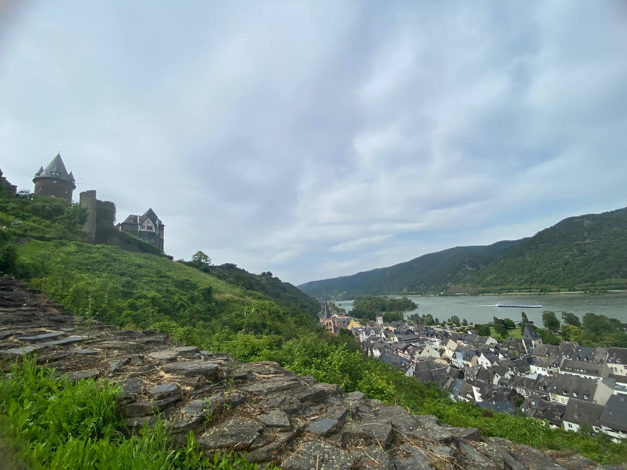 Views over the castle and town from the vineyards