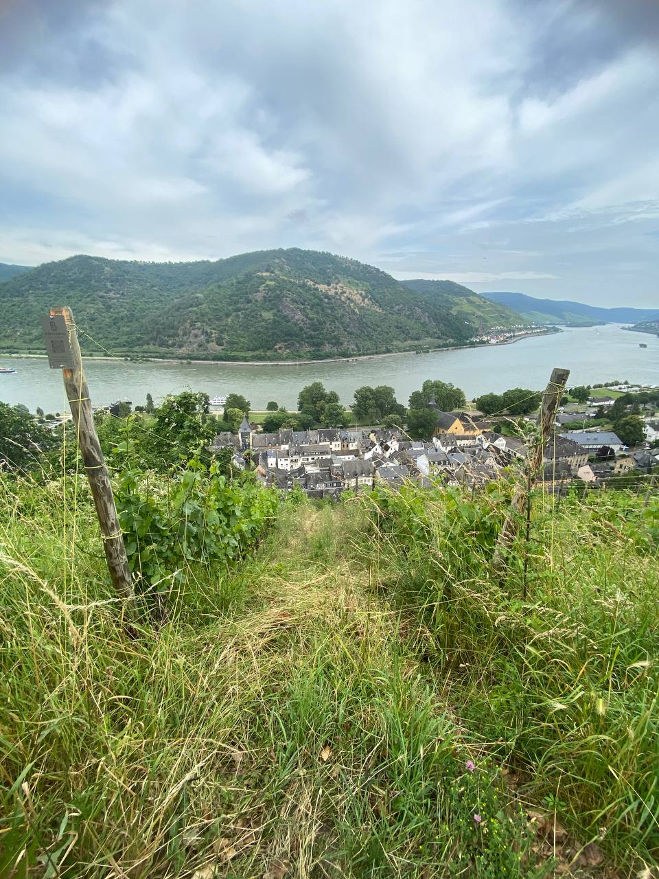 Views over the Rhine from the castle