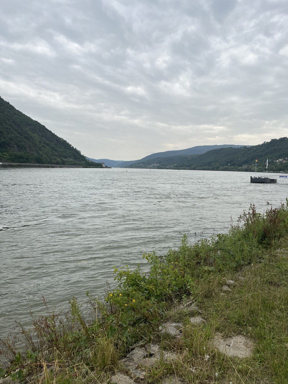 Views over the Rhine