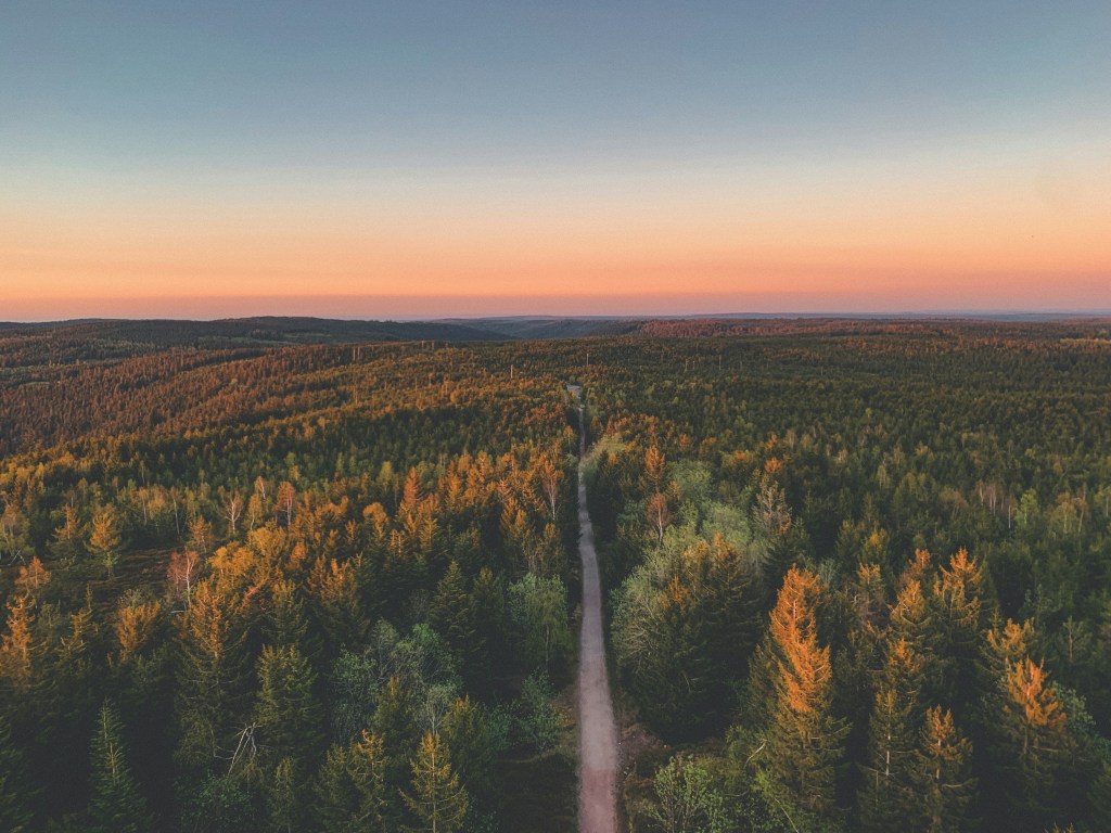Sustainable travel to the Black forest, Germany